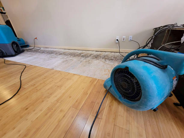 Professional Flood Damage Cleanup technician working in Pauma Valley, CA